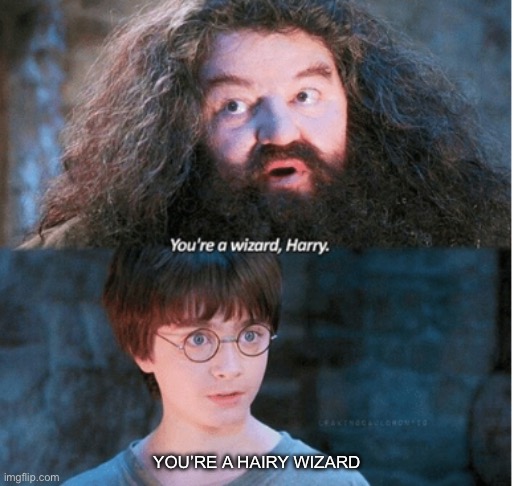 You’re a Harry wizard | YOU’RE A HAIRY WIZARD | image tagged in you're a wizard harry,harry potter,memes,meme | made w/ Imgflip meme maker