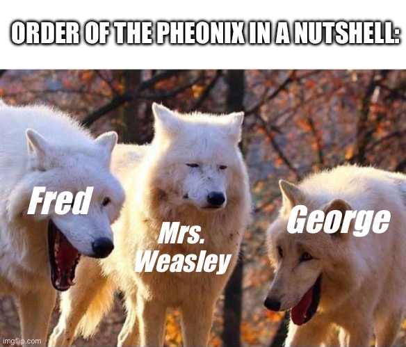 Highlights Of The Book | ORDER OF THE PHEONIX IN A NUTSHELL:; Fred; George; Mrs. Weasley | image tagged in laughing wolf,harry potter,fred,george | made w/ Imgflip meme maker