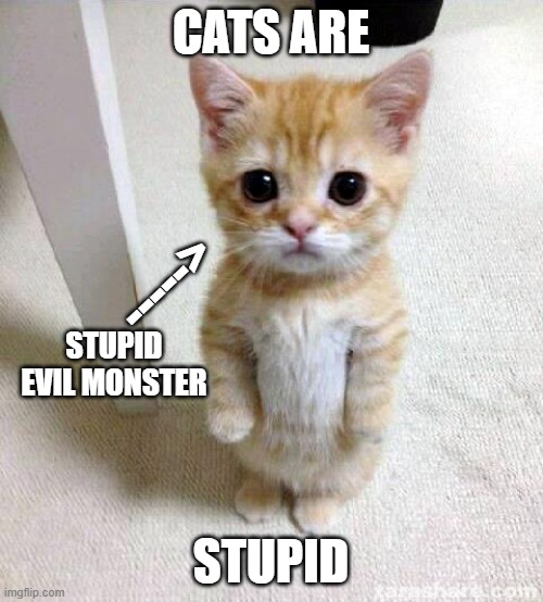 Cute Cat Meme | CATS ARE STUPID -----> STUPID EVIL MONSTER | image tagged in memes,cute cat | made w/ Imgflip meme maker