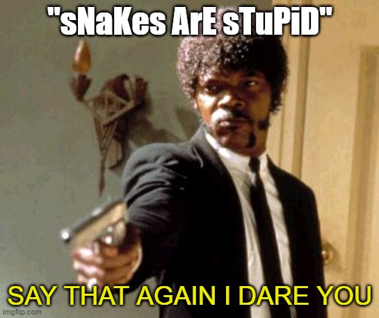 Say That Again I Dare You Meme | "sNaKes ArE sTuPiD" SAY THAT AGAIN I DARE YOU | image tagged in memes,say that again i dare you | made w/ Imgflip meme maker