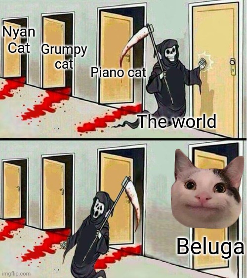 You can't stop beluga | Nyan
Cat; Grumpy cat; Piano cat; The world; Beluga | image tagged in grim reaper running away,cat | made w/ Imgflip meme maker
