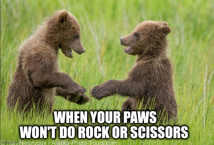 Two cubs | WHEN YOUR PAWS WON'T DO ROCK OR SCISSORS | image tagged in rock paper scissors | made w/ Imgflip meme maker