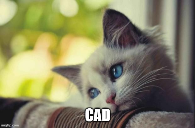 Sad cat | CAD | image tagged in sad cat | made w/ Imgflip meme maker