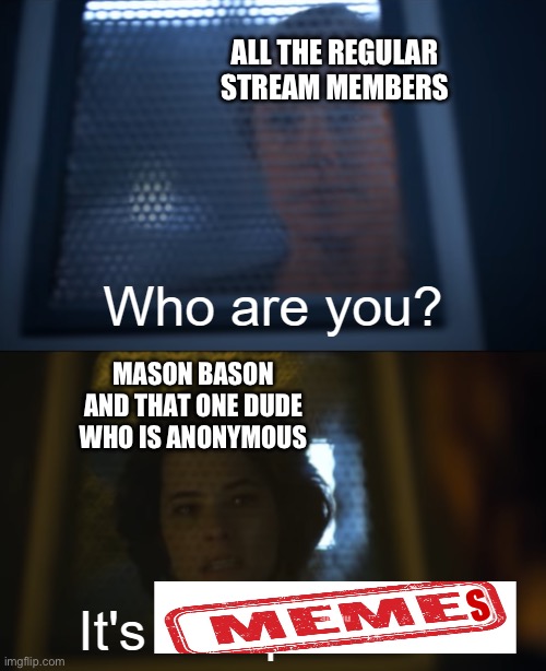 No hate of course I’m just saying jit just appeared :0 | ALL THE REGULAR STREAM MEMBERS; MASON BASON AND THAT ONE DUDE WHO IS ANONYMOUS; S | image tagged in who are you | made w/ Imgflip meme maker