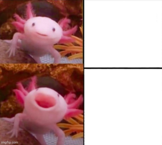 axolotl drake | image tagged in axolotl drake | made w/ Imgflip meme maker