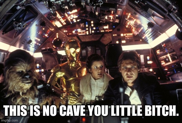 han solo never tell me the odds | THIS IS NO CAVE YOU LITTLE BITCH. | image tagged in han solo never tell me the odds | made w/ Imgflip meme maker