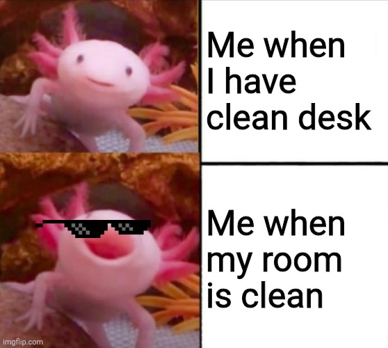 axolotl drake | Me when I have clean desk; Me when my room is clean | image tagged in axolotl drake | made w/ Imgflip meme maker