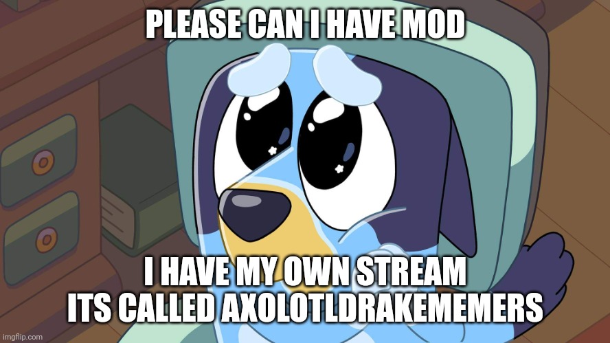 Please? | PLEASE CAN I HAVE MOD; I HAVE MY OWN STREAM ITS CALLED AXOLOTLDRAKEMEMERS | image tagged in bluey's please face | made w/ Imgflip meme maker