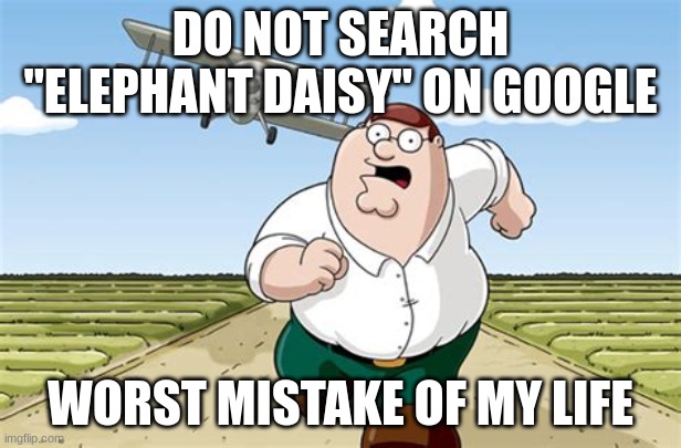 hell naw | DO NOT SEARCH "ELEPHANT DAISY" ON GOOGLE; WORST MISTAKE OF MY LIFE | image tagged in worst mistake of my life | made w/ Imgflip meme maker