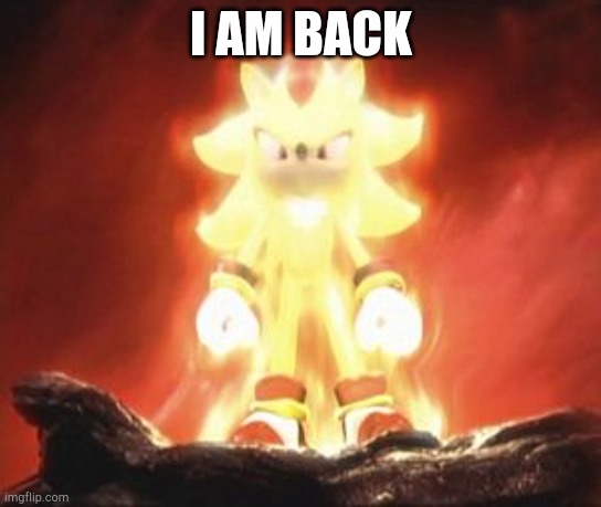 I will explain to those wondering, the reason I was inactive for 2 weeks on here, but you might not care, fine with me | I AM BACK | image tagged in super shadow | made w/ Imgflip meme maker