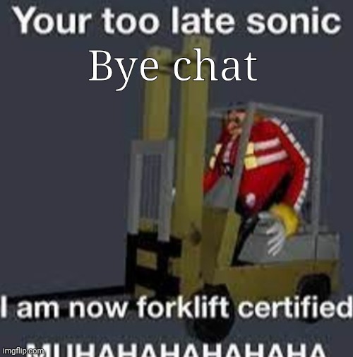 Your too late sonic | Bye chat | image tagged in your too late sonic | made w/ Imgflip meme maker