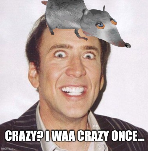 The rats made me crazy | CRAZY? I WAA CRAZY ONCE... | image tagged in crazy nick cage,rats,crazy | made w/ Imgflip meme maker