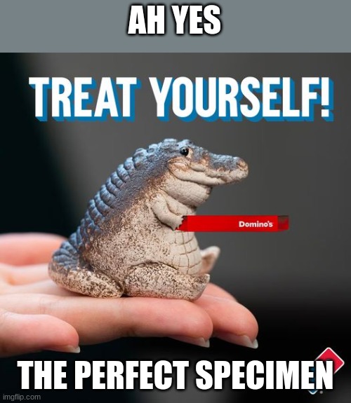 Dominos Crocodile = yes | AH YES; THE PERFECT SPECIMEN | image tagged in dominos,crocodile,pizza,domino's pizza,domino's,perfection | made w/ Imgflip meme maker