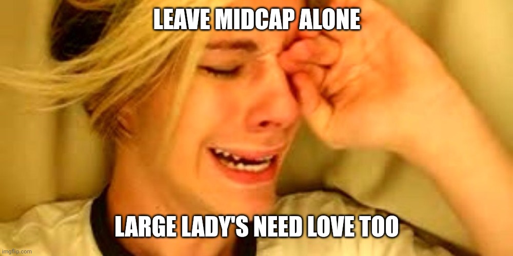 Leave Brittany alone guy | LEAVE MIDCAP ALONE; LARGE LADY'S NEED LOVE TOO | image tagged in leave brittany alone guy | made w/ Imgflip meme maker