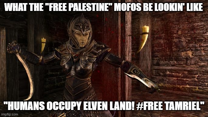 Let me explain this in a language you can understand | WHAT THE "FREE PALESTINE" MOFOS BE LOOKIN' LIKE; "HUMANS OCCUPY ELVEN LAND! #FREE TAMRIEL" | image tagged in thalmor justiciar,palestine,liberal hypocrisy,terrorism | made w/ Imgflip meme maker
