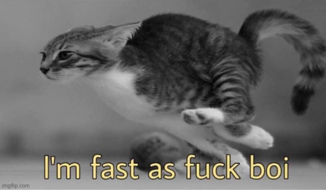 Cat I'm fast as fuck boi | image tagged in cat i'm fast as fuck boi | made w/ Imgflip meme maker