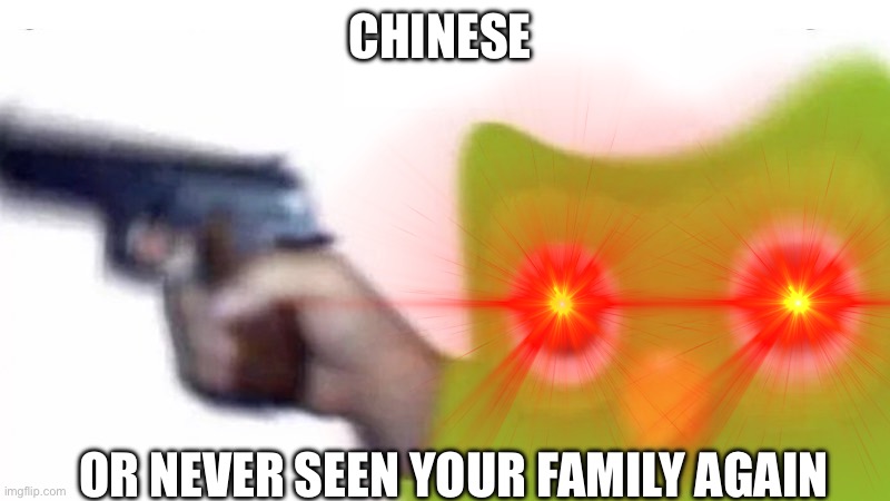 duolingo gun | CHINESE; OR NEVER SEEN YOUR FAMILY AGAIN | image tagged in duolingo gun | made w/ Imgflip meme maker
