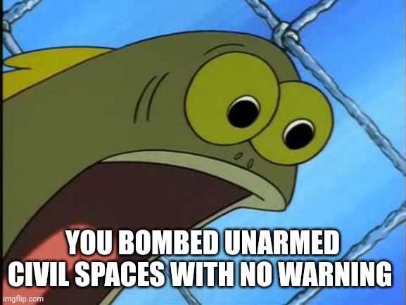 Pretty sure what's been going on is against our bill of rights. | YOU BOMBED UNARMED CIVIL SPACES WITH NO WARNING | image tagged in you what | made w/ Imgflip meme maker