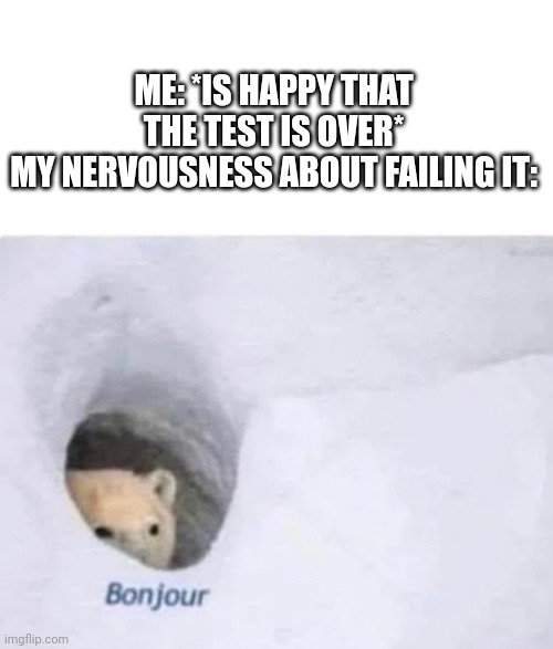Bonjour | ME: *IS HAPPY THAT THE TEST IS OVER*
MY NERVOUSNESS ABOUT FAILING IT: | image tagged in bonjour,fun,tests,nervous,school | made w/ Imgflip meme maker