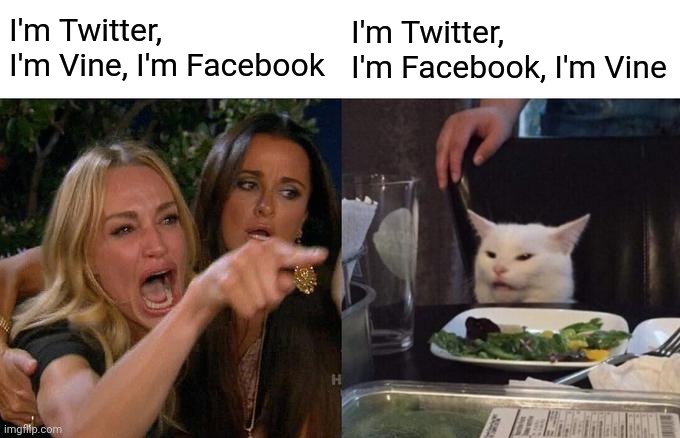 Woman Yelling At Cat Meme | I'm Twitter, I'm Vine, I'm Facebook I'm Twitter, I'm Facebook, I'm Vine | image tagged in memes,woman yelling at cat | made w/ Imgflip meme maker