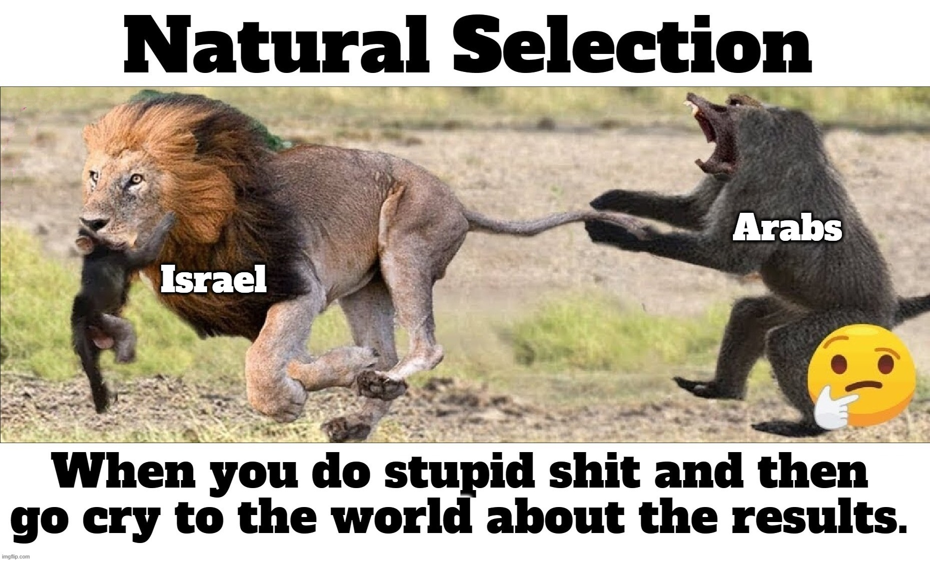 When you do stupid shit and then go cry to the world about the results. | image tagged in special kind of stupid,stupid people be like,hamas,arabs,natural selection,achmed the dead terrorist | made w/ Imgflip meme maker