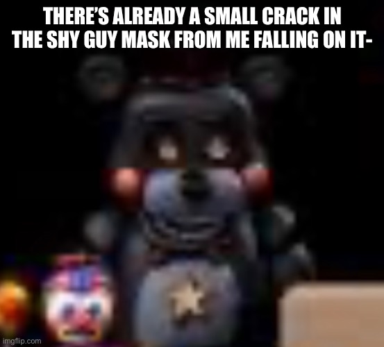 The first day o got it bro | THERE’S ALREADY A SMALL CRACK IN THE SHY GUY MASK FROM ME FALLING ON IT- | image tagged in whhasmg | made w/ Imgflip meme maker