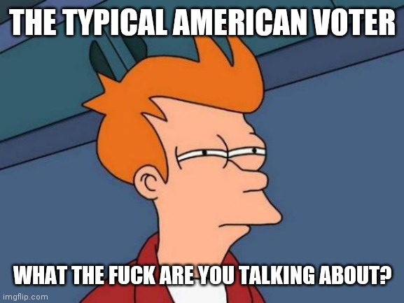 Futurama Fry Meme | THE TYPICAL AMERICAN VOTER WHAT THE FUCK ARE YOU TALKING ABOUT? | image tagged in memes,futurama fry | made w/ Imgflip meme maker