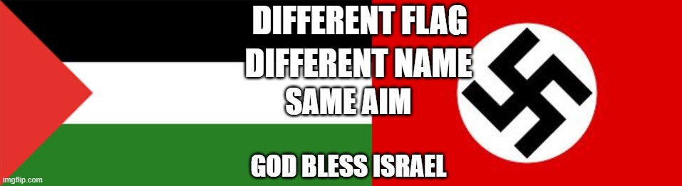 DIFFERENT FLAG; DIFFERENT NAME; SAME AIM; GOD BLESS ISRAEL | image tagged in palestine flag,swastika | made w/ Imgflip meme maker