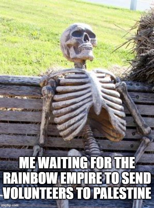 Waiting Skeleton | ME WAITING FOR THE RAINBOW EMPIRE TO SEND VOLUNTEERS TO PALESTINE | image tagged in memes,waiting skeleton | made w/ Imgflip meme maker