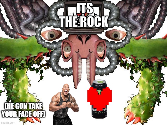 its the rock | ITS THE ROCK; (HE GON TAKE YOUR FACE OFF) | image tagged in omega flowey,undertale | made w/ Imgflip meme maker