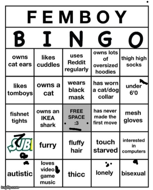 Why not | image tagged in femboy bingo,memes,funny,bingo | made w/ Imgflip meme maker