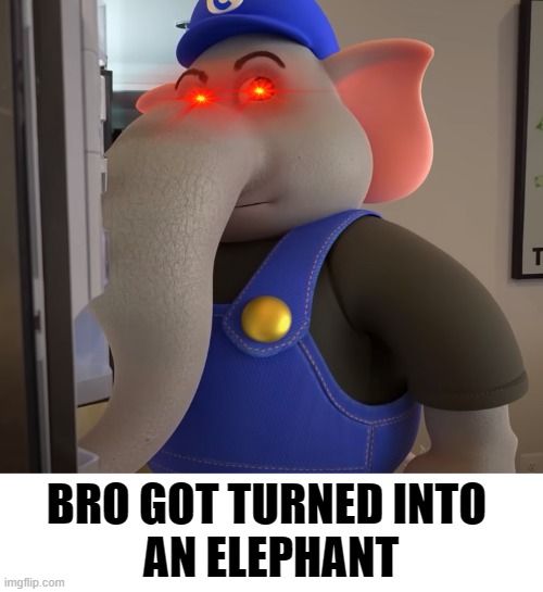 Its Elephant Time | BRO GOT TURNED INTO 
AN ELEPHANT | image tagged in mario | made w/ Imgflip meme maker