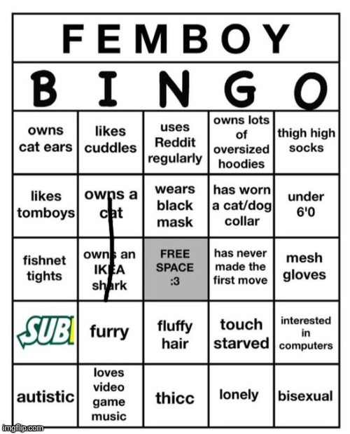 Femboy Bingo | image tagged in femboy bingo | made w/ Imgflip meme maker