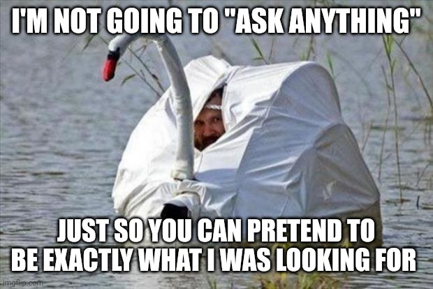 Ask Me Anything | I'M NOT GOING TO "ASK ANYTHING"; JUST SO YOU CAN PRETEND TO BE EXACTLY WHAT I WAS LOOKING FOR | image tagged in goose disguise | made w/ Imgflip meme maker