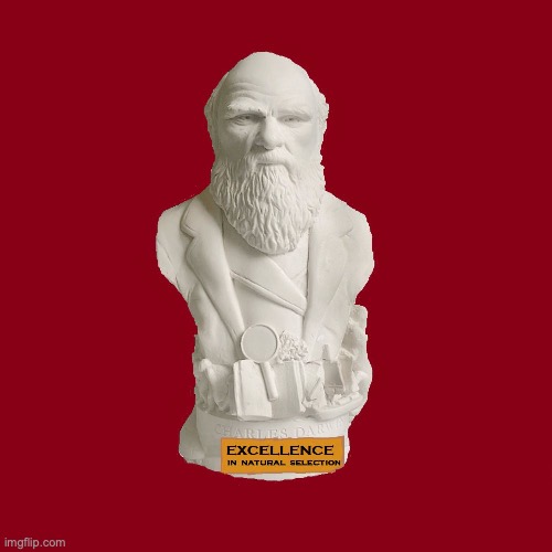 The Charles Darwin Award | image tagged in the charles darwin award | made w/ Imgflip meme maker