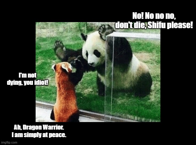 Po and Shifu | No! No no no, don't die, Shifu please! I'm not dying, you idiot! Ah, Dragon Warrior. I am simply at peace. | image tagged in blank black,red panda,panda,kung fu panda | made w/ Imgflip meme maker