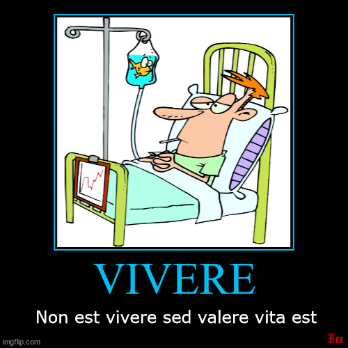 VIVERE | Non est vivere sed valere vita est | image tagged in funny,demotivationals | made w/ Imgflip demotivational maker