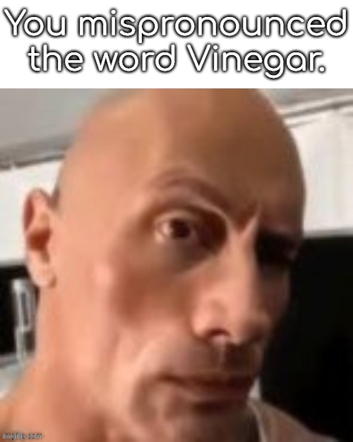 Rock raising eyebrow | You mispronounced the word Vinegar. | image tagged in rock raising eyebrow | made w/ Imgflip meme maker