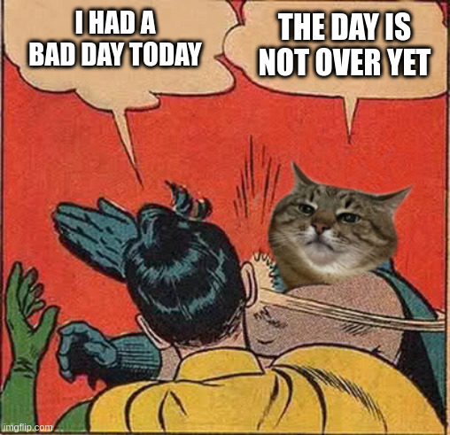 The bad day is not over yet | I HAD A BAD DAY TODAY; THE DAY IS NOT OVER YET | image tagged in stepanman slapping robin,stepan cat,batman slapping robin,day,time | made w/ Imgflip meme maker