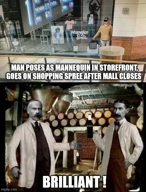 My New Hero | MAN POSES AS MANNEQUIN IN STOREFRONT, GOES ON SHOPPING SPREE AFTER MALL CLOSES; BRILLIANT ! | image tagged in brilliant | made w/ Imgflip meme maker