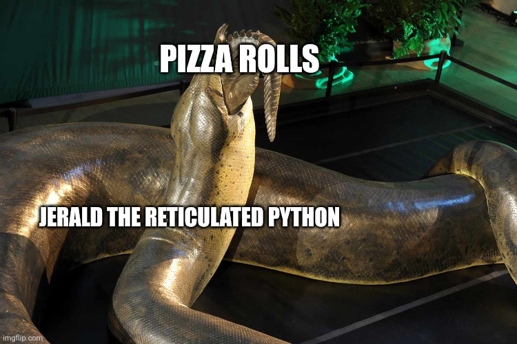 Python wants pizza rolls | PIZZA ROLLS; JERALD THE RETICULATED PYTHON | image tagged in titanoboa eating crocodile,food memes | made w/ Imgflip meme maker