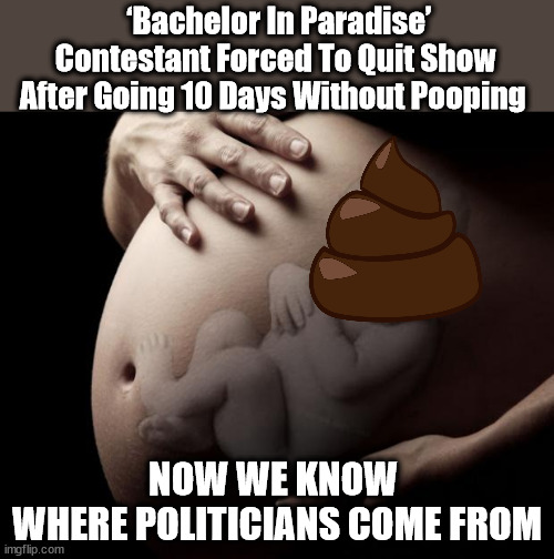 Pregnant Stomach | ‘Bachelor In Paradise’ Contestant Forced To Quit Show After Going 10 Days Without Pooping; NOW WE KNOW 
WHERE POLITICIANS COME FROM | image tagged in pregnant stomach,politicians suck | made w/ Imgflip meme maker