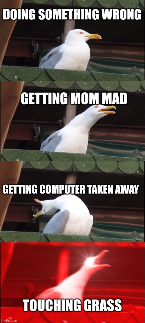 Inhaling Seagull Meme | DOING SOMETHING WRONG; GETTING MOM MAD; GETTING COMPUTER TAKEN AWAY; TOUCHING GRASS | image tagged in memes,inhaling seagull | made w/ Imgflip meme maker
