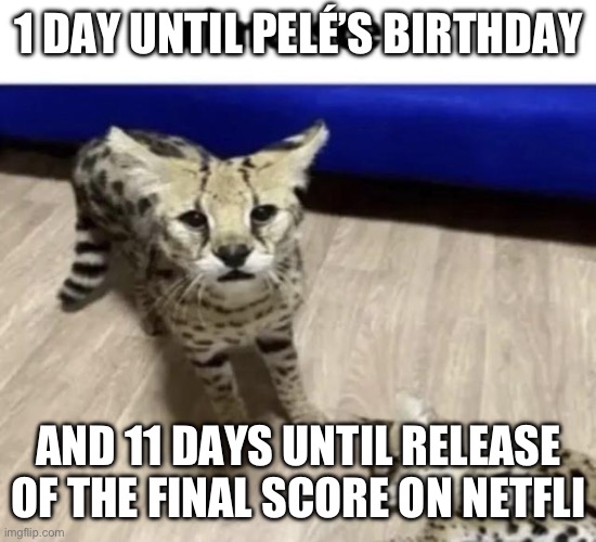 huh | 1 DAY UNTIL PELÉ’S BIRTHDAY; AND 11 DAYS UNTIL RELEASE OF THE FINAL SCORE ON NETFLIX | image tagged in huh | made w/ Imgflip meme maker