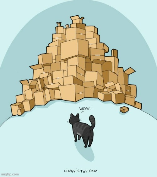 A Cat's Way Of Thinking | image tagged in memes,comics/cartoons,cats,too many,boxes,wow | made w/ Imgflip meme maker