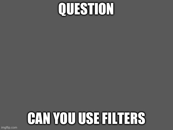 big question | QUESTION; CAN YOU USE FILTERS | image tagged in question | made w/ Imgflip meme maker