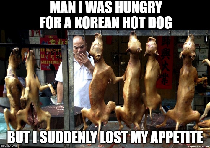 Korean Hot Dog | MAN I WAS HUNGRY FOR A KOREAN HOT DOG; BUT I SUDDENLY LOST MY APPETITE | image tagged in dark humor | made w/ Imgflip meme maker