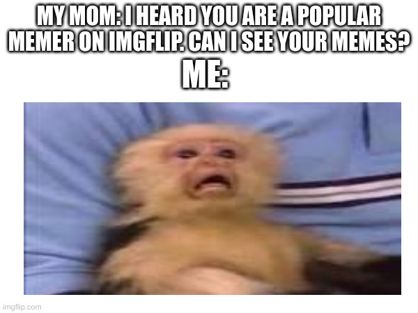When My Mom Asks Me To See My Memes | MY MOM: I HEARD YOU ARE A POPULAR MEMER ON IMGFLIP. CAN I SEE YOUR MEMES? ME: | image tagged in memes,monkey | made w/ Imgflip meme maker