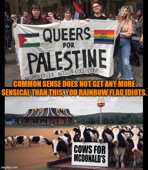 How can these leftist BE this relentlessly stupid where common sense and history is concerned? | COMMON SENSE DOES NOT GET ANY MORE SENSICAL THAN THIS, YOU RAINBOW FLAG IDIOTS. | image tagged in truth | made w/ Imgflip meme maker