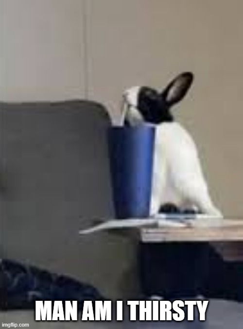 Drink Up | MAN AM I THIRSTY | image tagged in bunnies | made w/ Imgflip meme maker